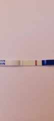 Am i pregnant?