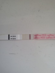 Gone back to test and looks positive anyone had this
