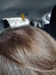 What colour would you say my hair is?