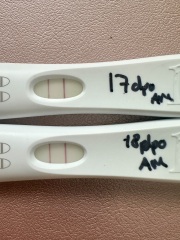 19dpo lines not progressing :(