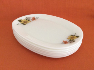 The Only True Dinner Plates Are White