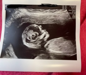 Due September 4.5 🐣♥️🧡💜
