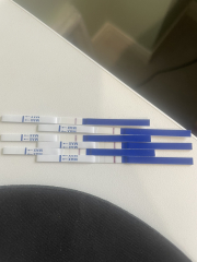 IVF/ICSI February 2024