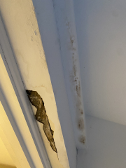 Landlord being an arse