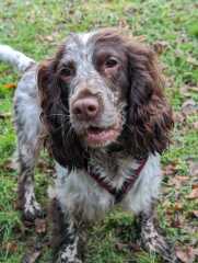 THE WAY. MON BBC 9pm. Tv pace. NO SPOILERS