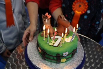 How the Jeff do I make a cake like this?
