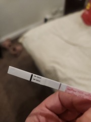 Help! Can anyone see a line?