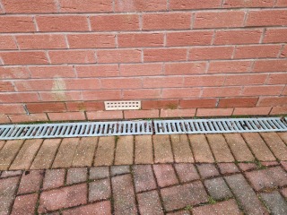 Damp bricks at front of house