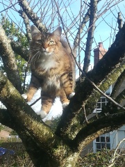 Amazing what you find on your bird table!!!