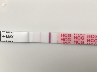 TTC February 2024 ✨