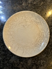 What just happened to my plate in the microwave?!