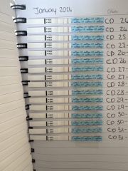 Not ovulated/ short luteal phase