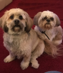Happy National Love Your Pet Day!