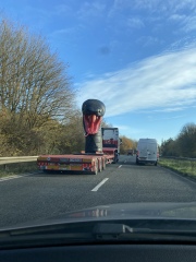 Have you ever seen anything weird being transported?