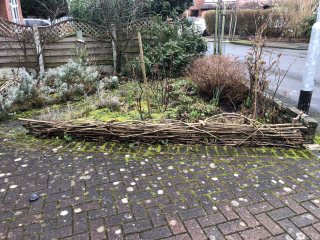 What have you done in the garden today? Part 3