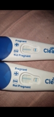 Clear blue test. Evap line or positive