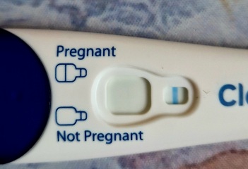 TWW... starting now!