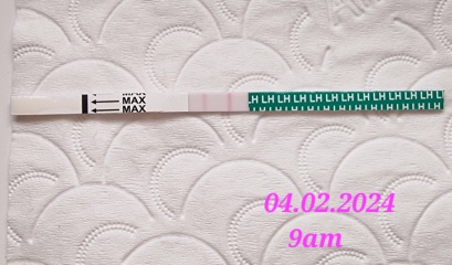 Confused first time using ovulation tests