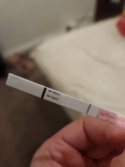 Help! Can anyone see a line?