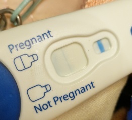 Clear blue test. Evap line or positive