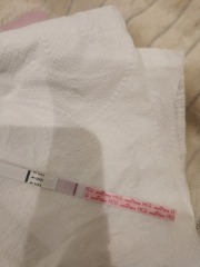 TTC February 2024 ✨