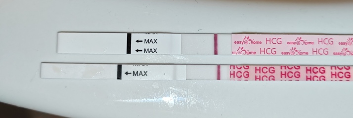 9DPO is this test positive?