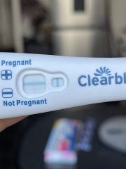 TTC February 2024 ✨