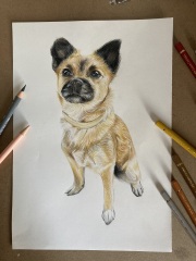 All the p-Arty People - Thread #1