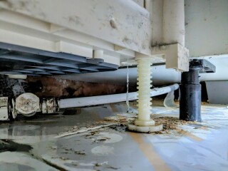 Advice needed! How to sort out the mouldy wall under sink cupboard after a water leak which lasted for ages!