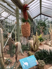 The Great Recovery! After cancer what next?