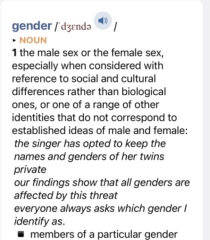 Do you count GC feminists as LGBT?