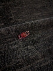 Need to find these beads!