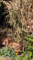 Come and tell me your dull and unexciting news 29: Calmly through the day