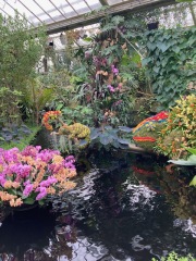 Come and tell me your dull and unexciting news 28: Calmly through the day