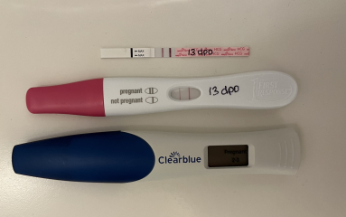 OCTOBER 2024 BABIES!