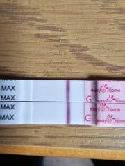 TTC February 2024 ✨