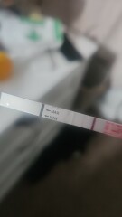 TTC February 2024 ✨