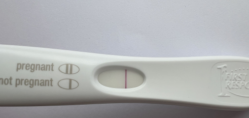 TTC February 2024 ✨