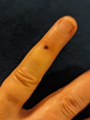 I slammed my finger in the car door today