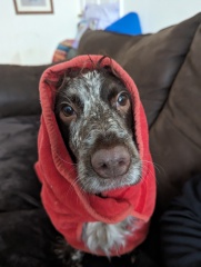 THE WAY. MON BBC 9pm. Tv pace. NO SPOILERS