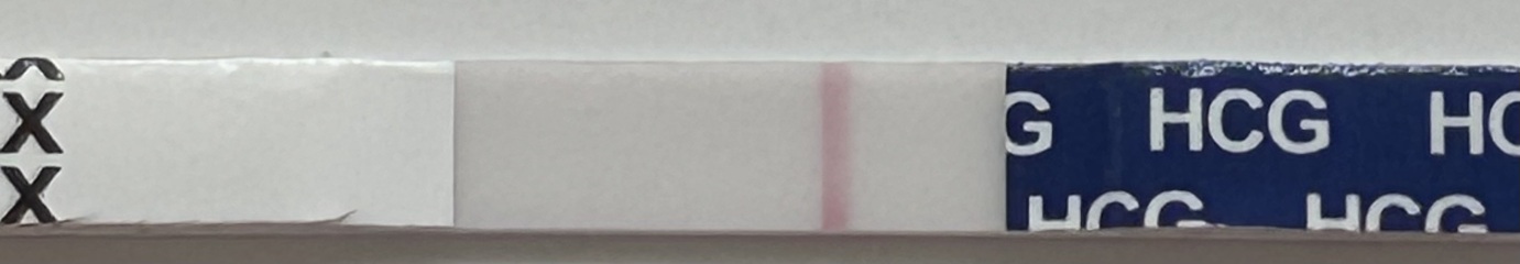 12-13DPO