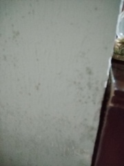 Rental paintwork