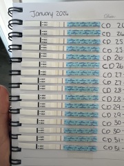 Does this mean I’m not ovulation/Luteal phase is short?
