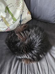 If you have a cat, how much time do they spend sleeping/relaxing?