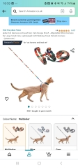 Harness training