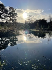 Come chat hiking with me!