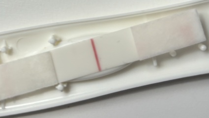 TWW... starting now!