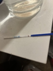 Todays bfp fainter than yesterday