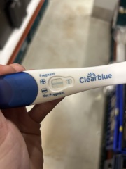 OCTOBER 2024 BABIES!