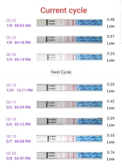 OPK - Cleablue 'O' but rise in LH easy@home